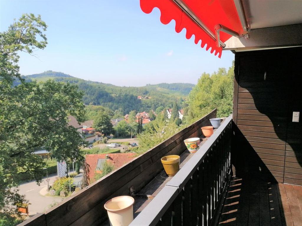 Top Ferienwohnung Mit Tiefgaragenstellplatz, Auch Fuer Laengere Aufenthalte 萨巴赫瓦登 外观 照片
